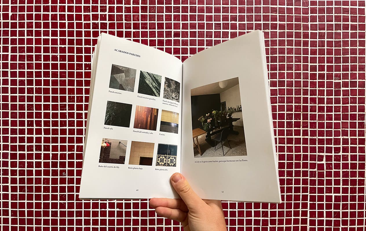 Rebollar 41 - Frame 18