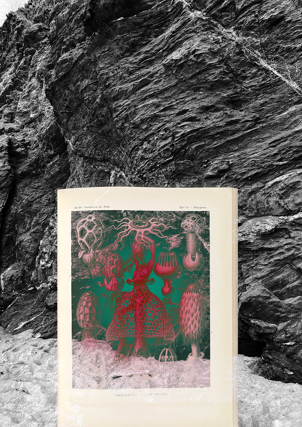 Eclectic image 3