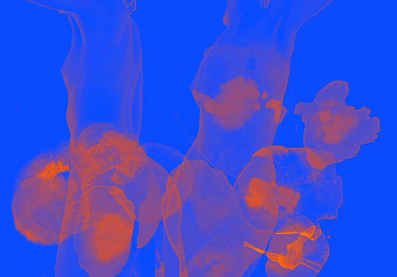 Eclectic image 3