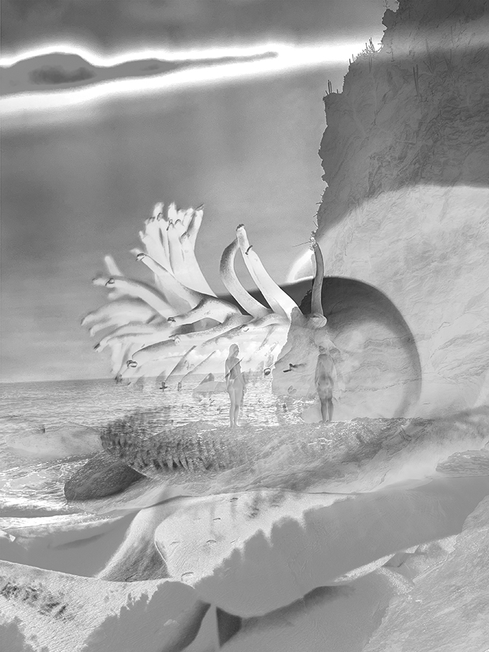 Eclectic image 5