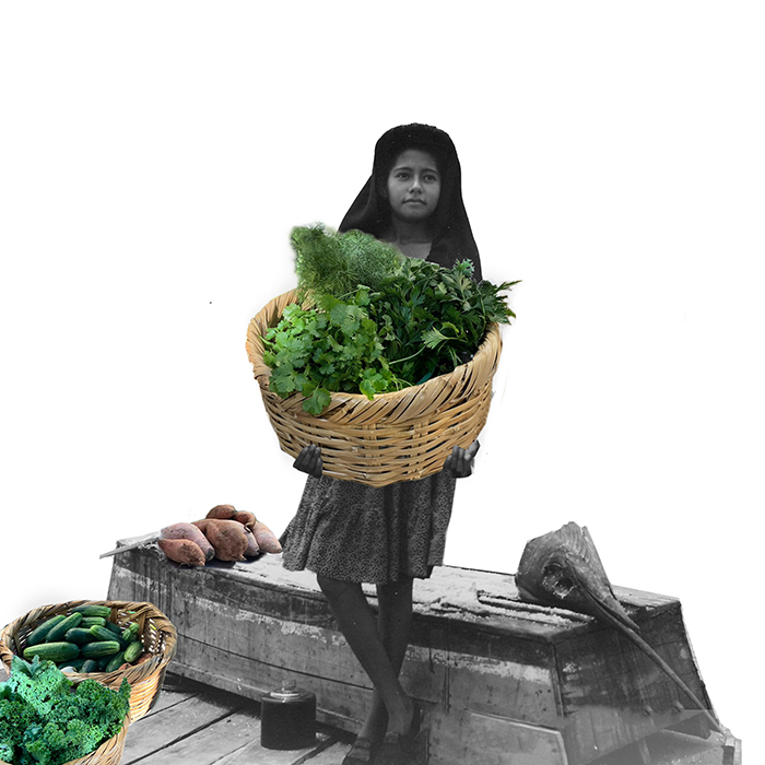 Eclectic image 9
